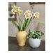 Pingstlilja Påsklilja Blombukett - Konstväxt